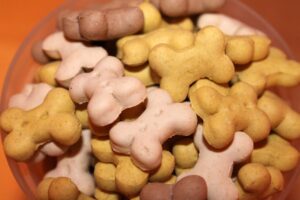 精神科デイケアで高報酬の指導を受けるにはどうすればよい？
