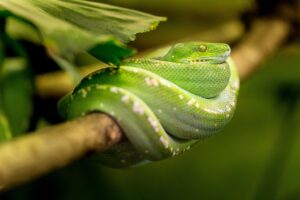 婦人科外来で働く高時給の単発バイトはどこで見つけられる？