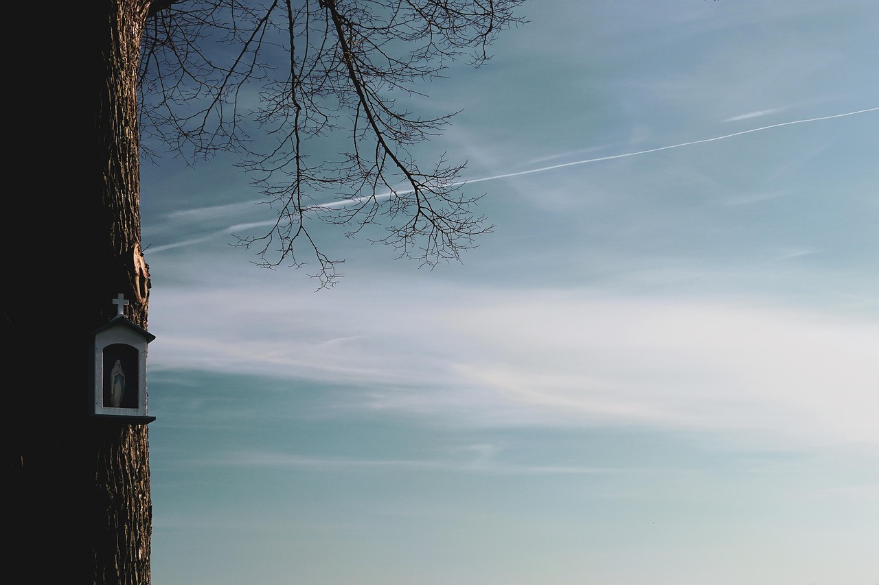 医師バイトで高額報酬が期待できる産科の不妊治療とは？