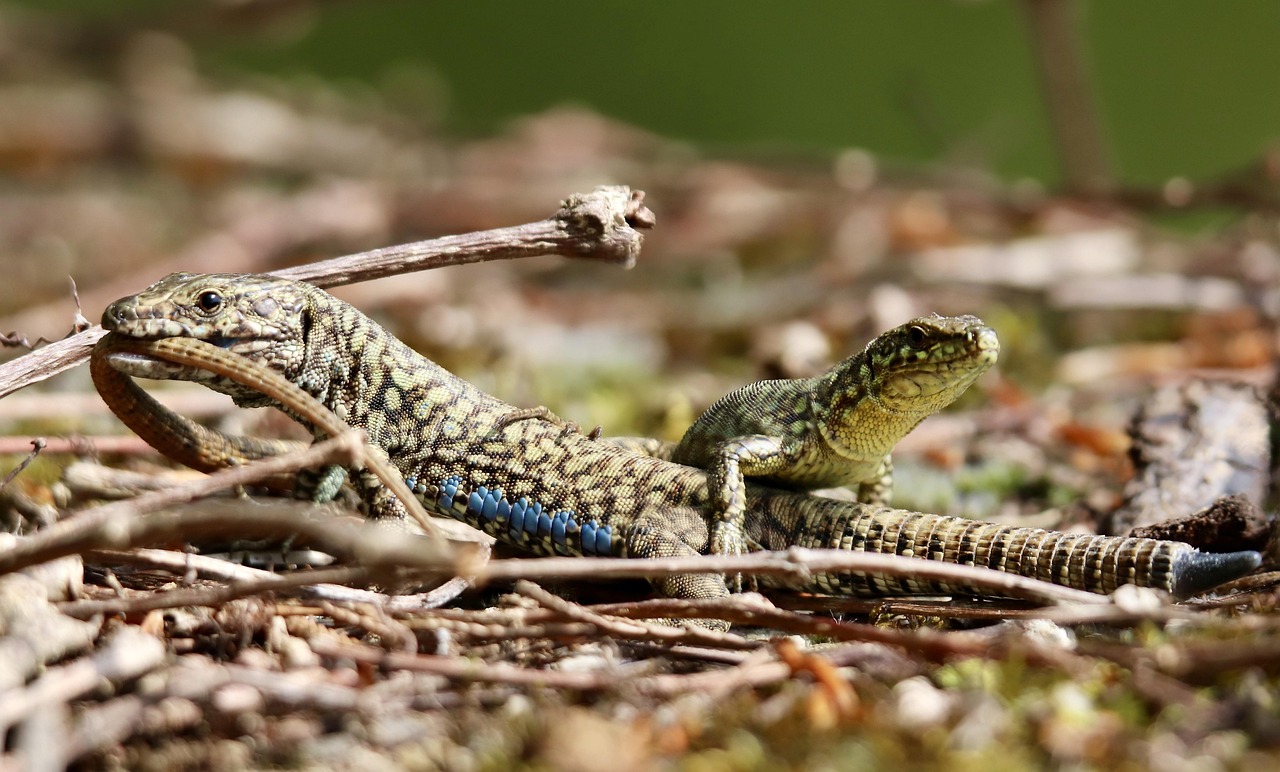 医師バイトで麻酔補助を行う場合の高収益の秘訣は？