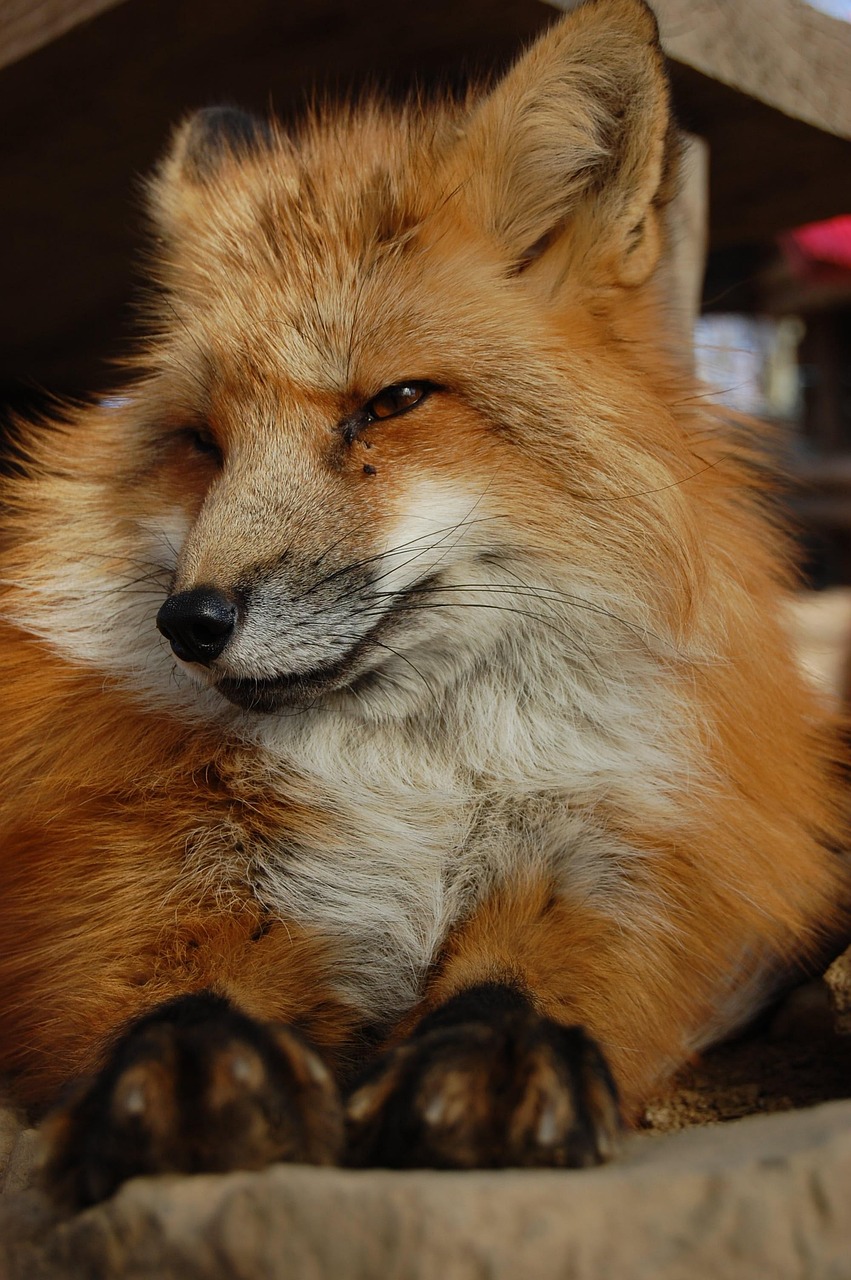 リウマチ科の医師が平日午前のみのバイトをするメリットは？