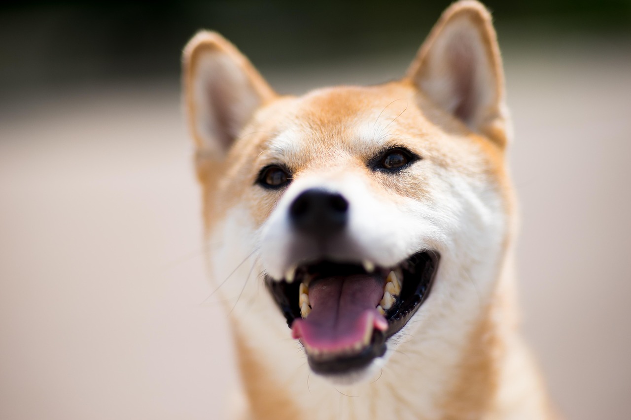 放射線科の読影医師が在宅可能なバイトの特徴は？